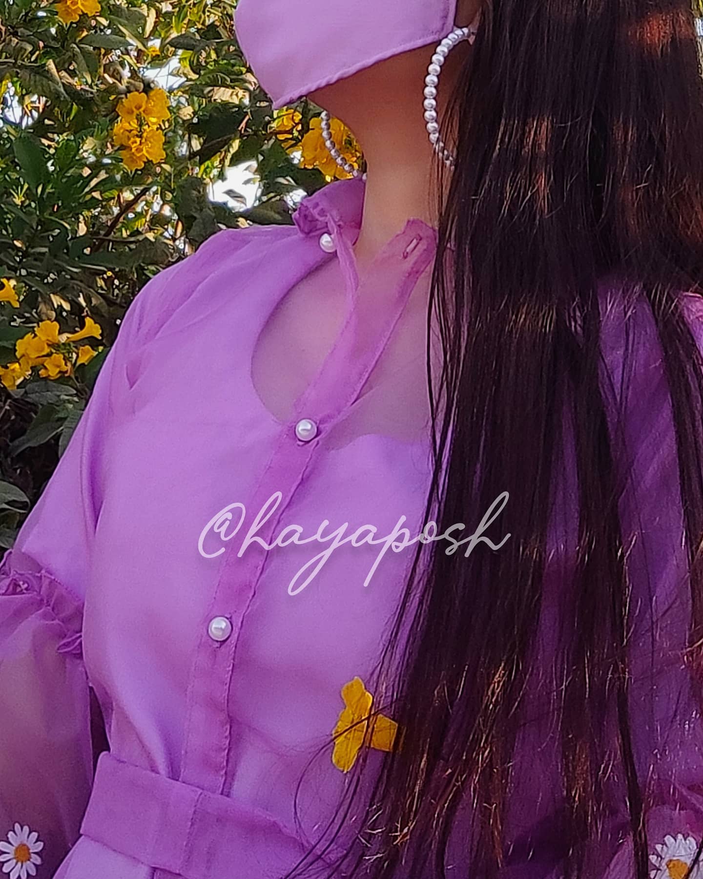 Daisy Top Top Hayaposh India.