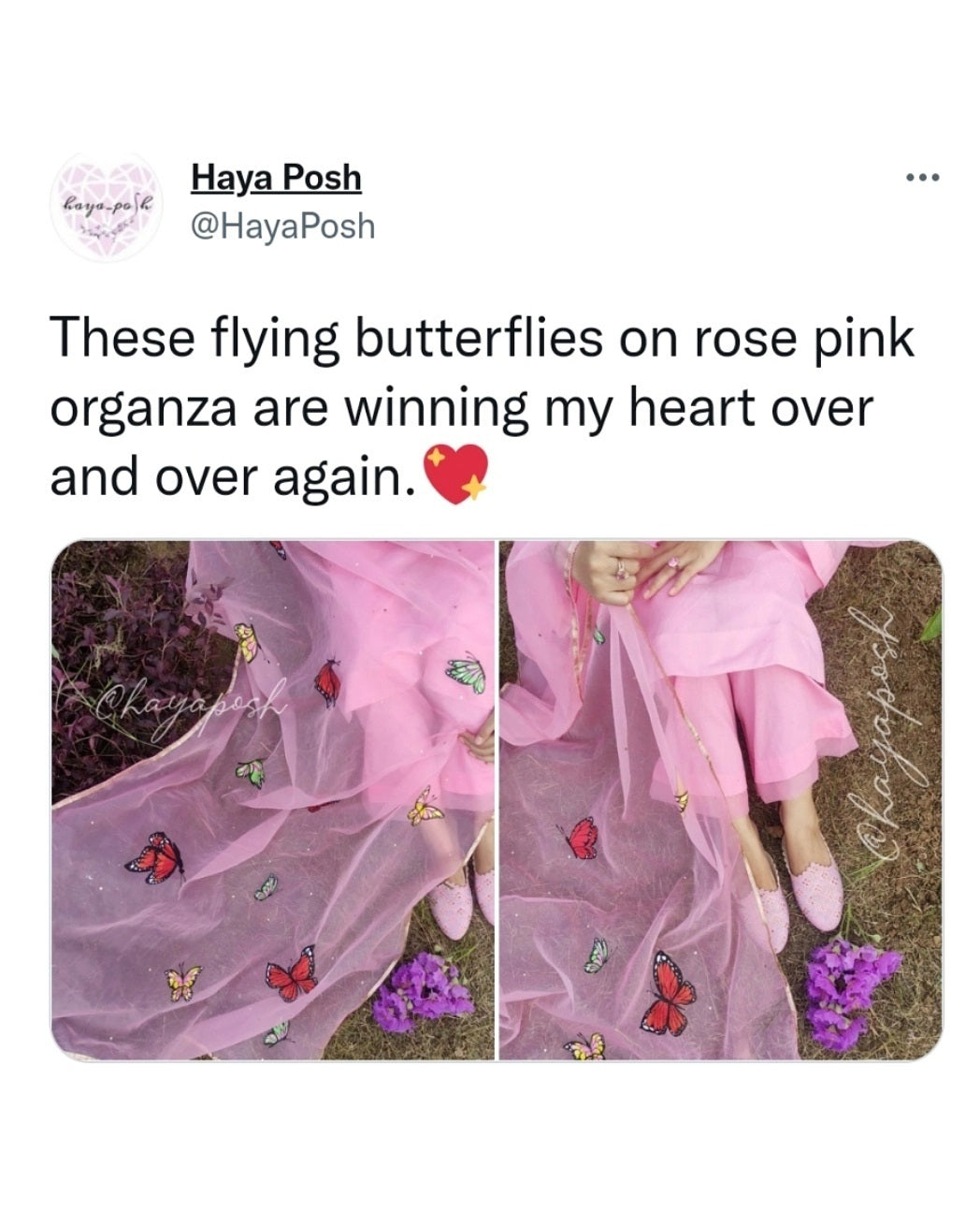Butter Fly Paradise Suit Hayaposh India.