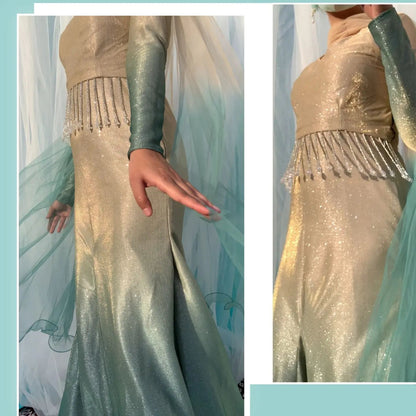 Mermaid Sparkle Gown Hayaposh India.