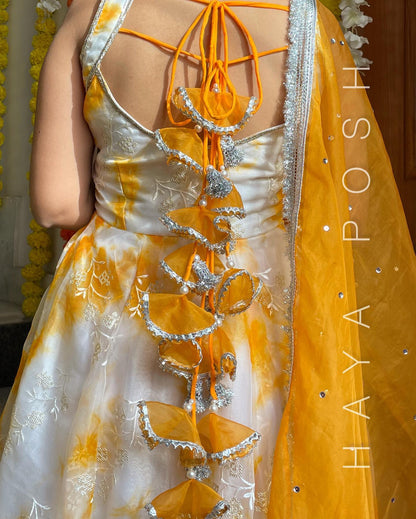 Sunehri Haldi Anarkali Hayaposh India.