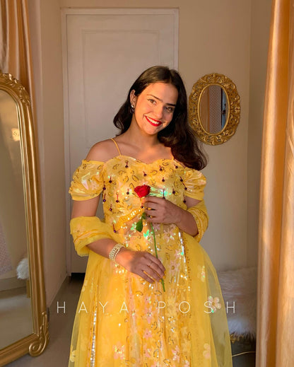 Belle Lehenga Hayaposh India.