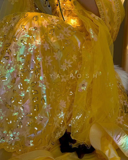 Belle Lehenga Hayaposh India.